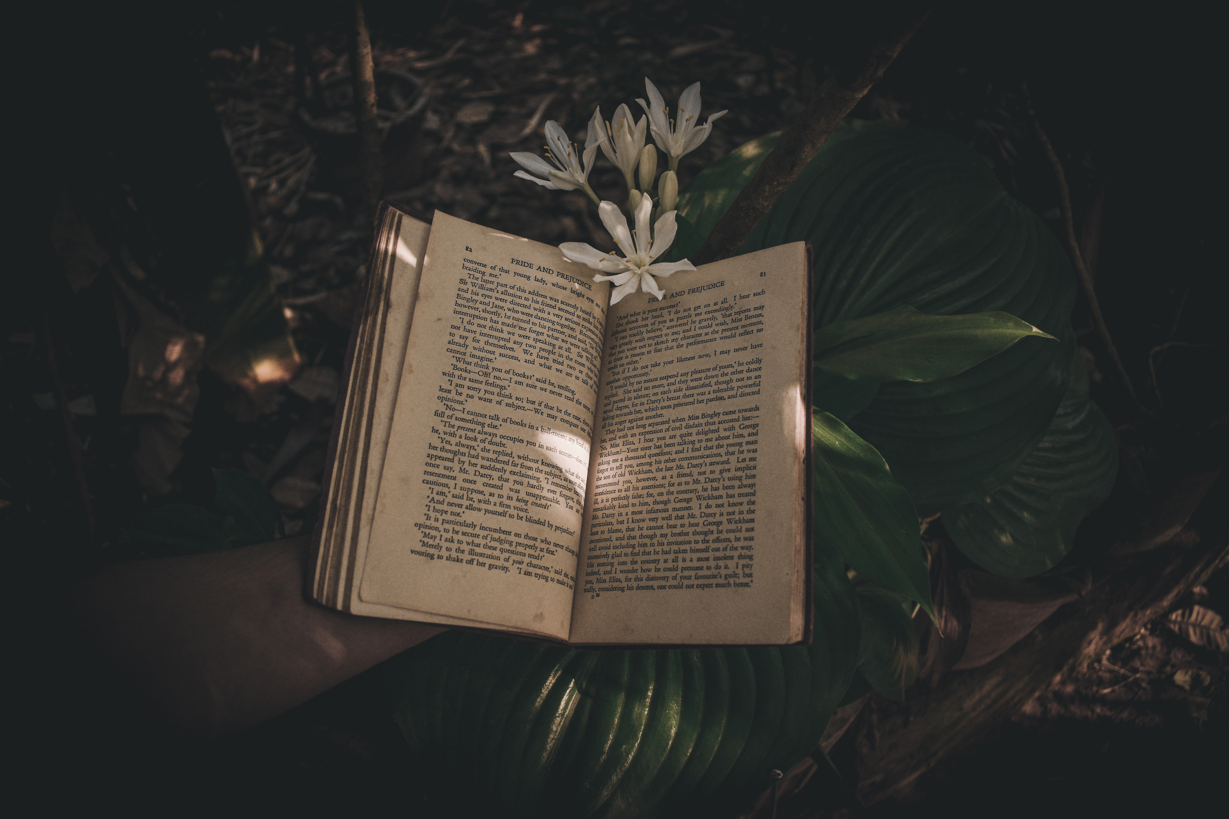 Book near fresh flowers in summer day